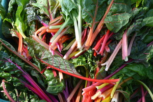 Herb and Plow Farm