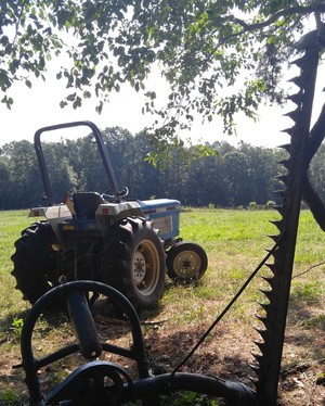 Mini-Pleasures Farm