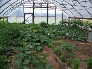 Heartland Farm