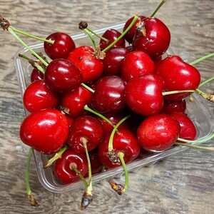 Agriberry Farm and CSA