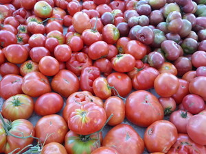 Orangevale Farmers' Market