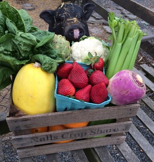 Nalls Produce