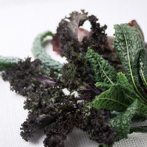 LocalHarvest