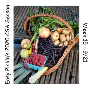 Easy Pickin's Orchard