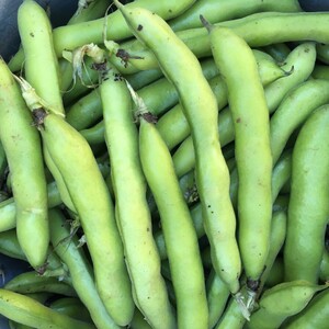 Aspen Moon Farm LLC