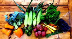 Clarion River Organics