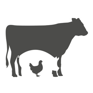 S. E. Indianapolis Buying Club - Seven Sons Farms