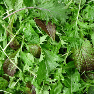 Harlequin Produce