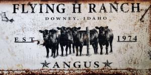 Flying H Ranch Grass-Fed Beef