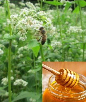 Doudlah Farms d/b/a Doudlah Farms Organics