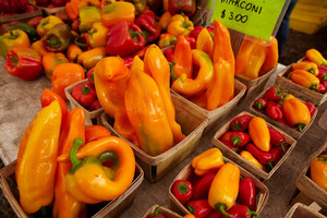 Green City Market Lincoln Park