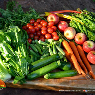 Freshness Farms