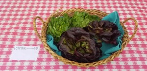 Gladstone Farmers Market