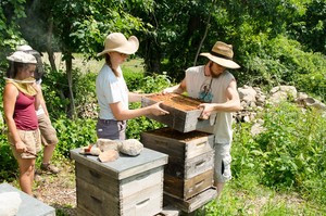 Threefold Community Farm