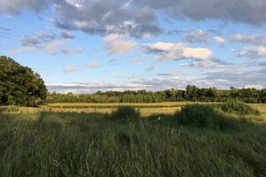 Spring Hill Family Farm