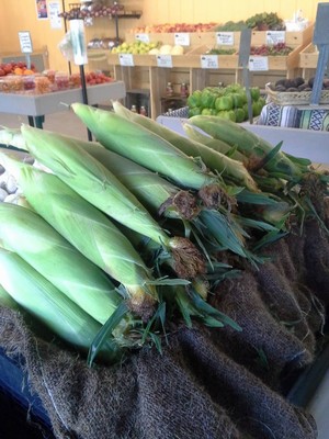 Campbells Local Harvest