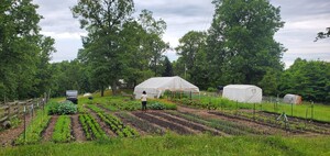 Sun And Bloom Farms
