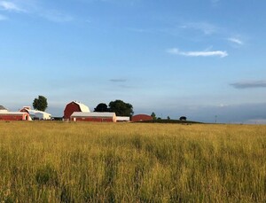 Hasselmann Family Farms