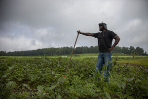 Ironbound Farm