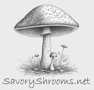 Savory Shrooms