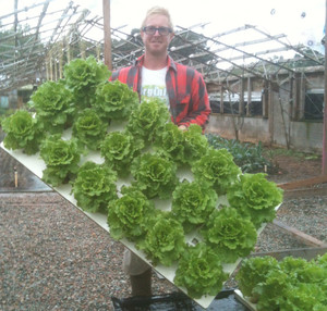 Virginia Vegetable Company