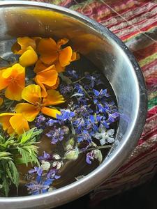 Indigi Golden Herbals Farmstead