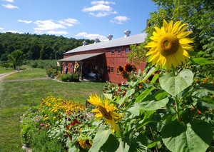 Quonquont Farm