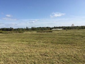 Muddy Boots Farm & Garden