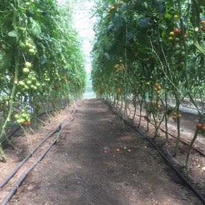 Moose Meadow Farm