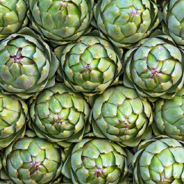artichoke