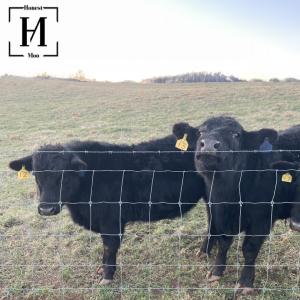 Honest Moo Cattle Co
