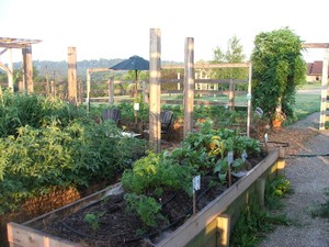 Ward Hilltop Farm