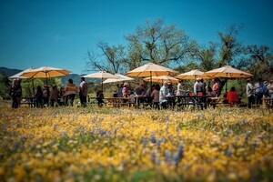 Avenales Ranch