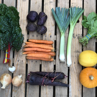 Rising River Farm