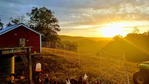 Longbottom Farm LLC