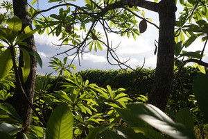 Health & Happiness Farms