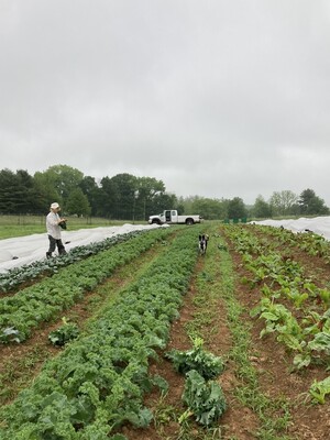 Spring Creek Farm