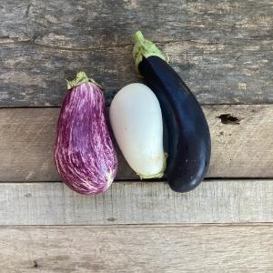 Bountiful Blessings Farm