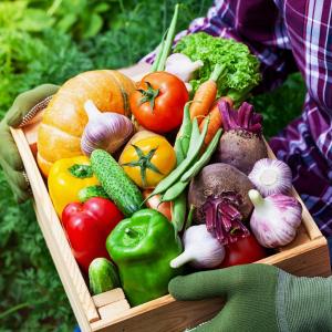 Vegetables