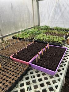 Shed Light Farm