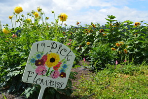 Tonnemaker Valley Farm
