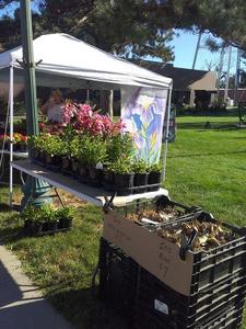 Madison County Farmers Market