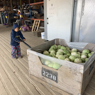 Wobbly Cart Farm