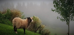 Cloudslaine Farm