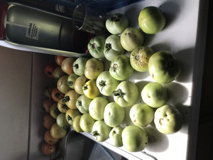 P.O.P.S. ( Pike's Organic Products and Services)  Farms