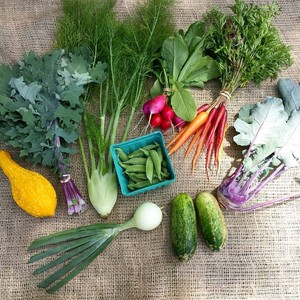 Dirty Girl CSA