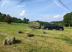 Barefoot Farm