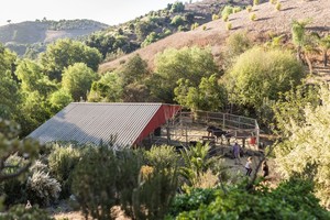 Rancho Palomino Santa Barbara