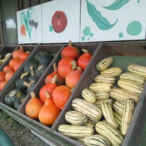Hartshorn Organic Farm