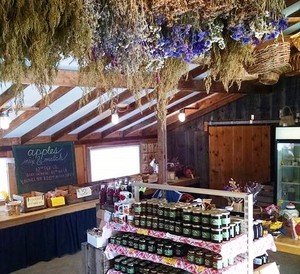 Manoff Market Gardens